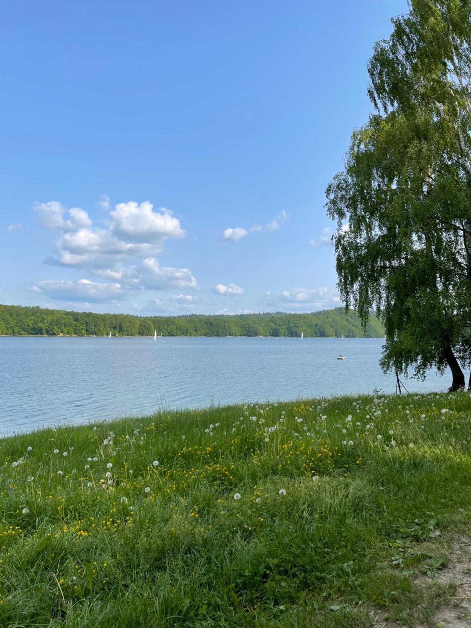 Polanczyk Dom, Apartamenty - Lesny Domek Polańczyk Exterior foto